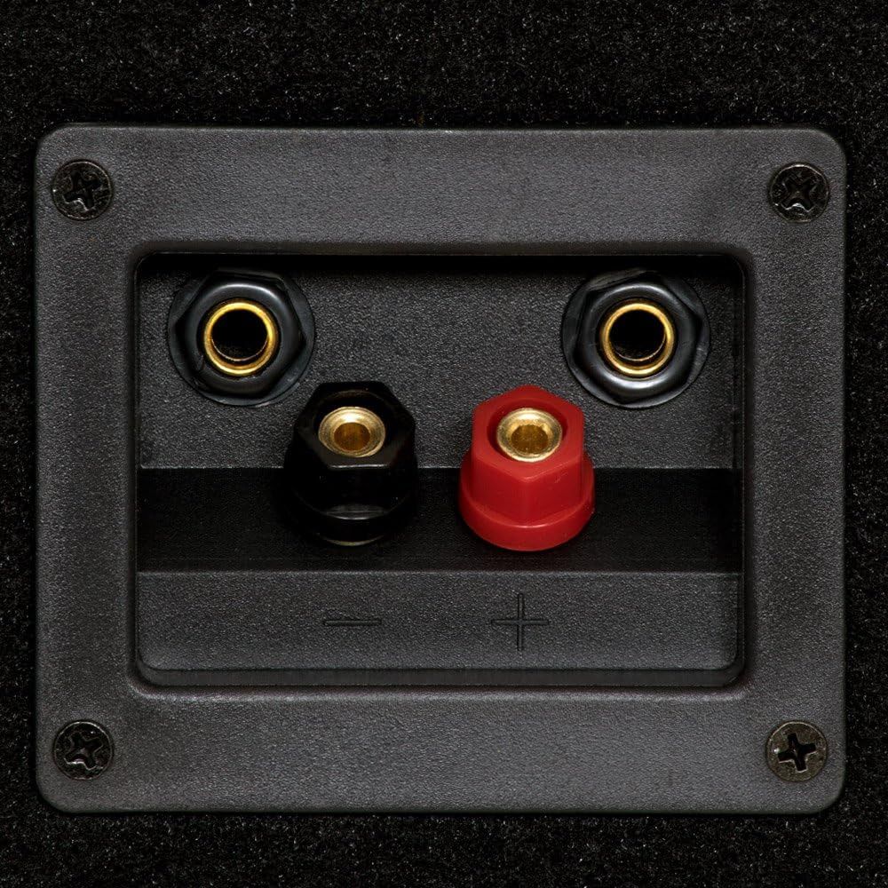 Shows the physical connection ports and terminals of the speaker system, helping shoppers understand the input/output options and how to connect their audio equipment.