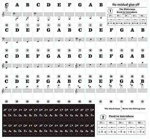 Teaches shoppers how to read and apply the piano key labels to learn notes and play music, demonstrating the educational setup and usage of the product.