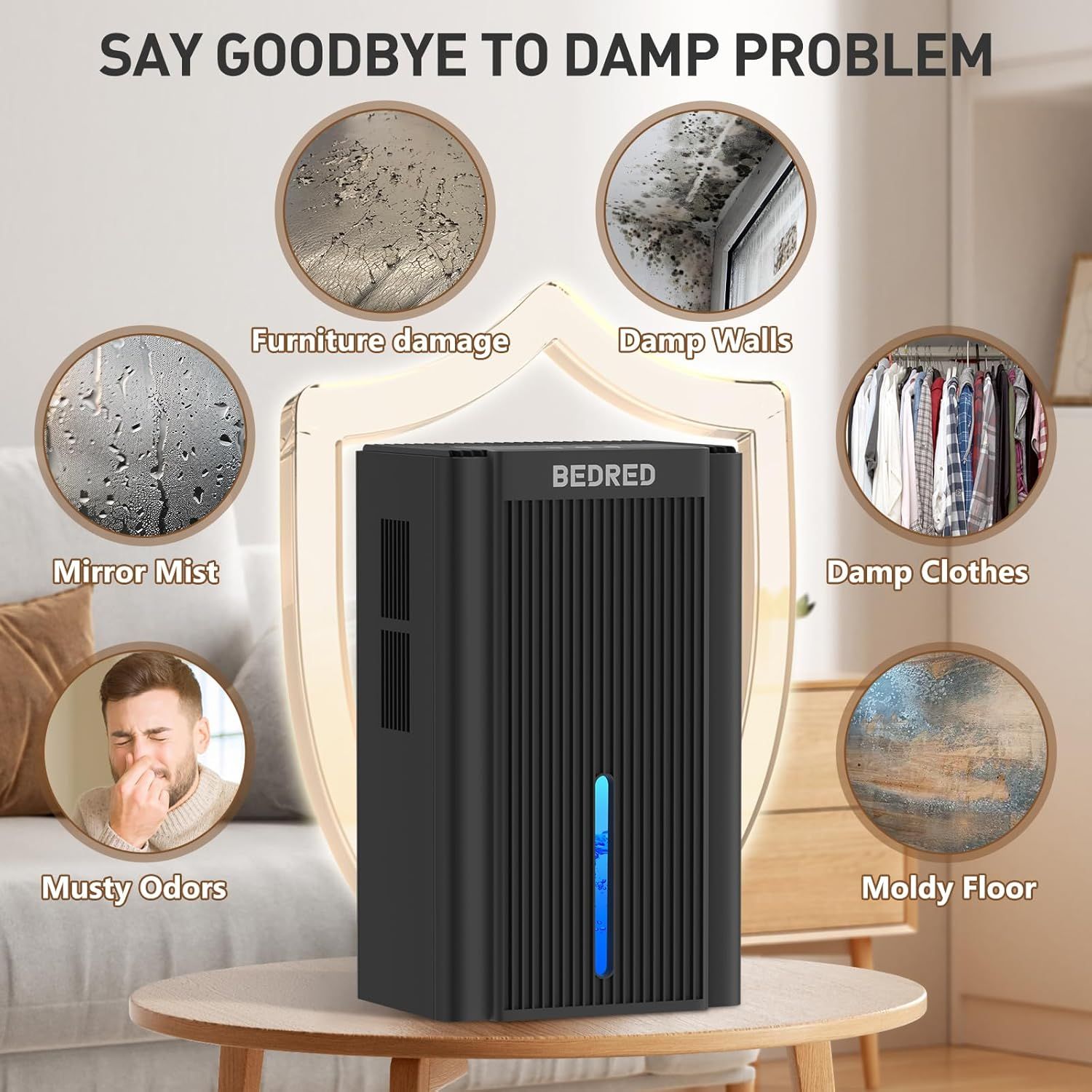 Demonstrates the multiple damp-related problems the dehumidifier solves, including furniture damage, damp walls, mirror mist, musty odors, damp clothes, and moldy floors, reassuring shoppers of its…