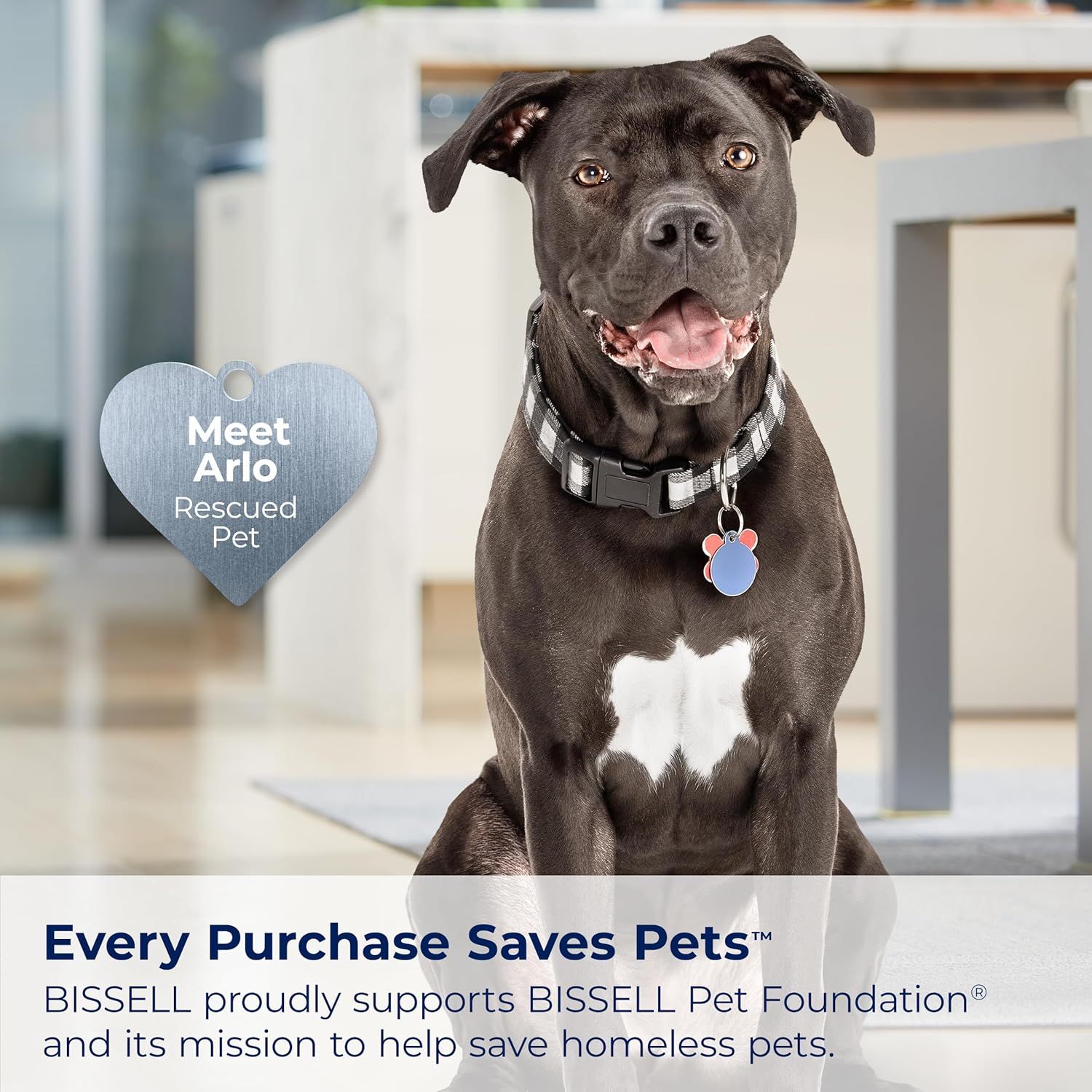 Communicates the brand's commitment to animal welfare and social responsibility by highlighting their partnership with BISSELL Pet Foundation to save homeless pets, building emotional connection and…