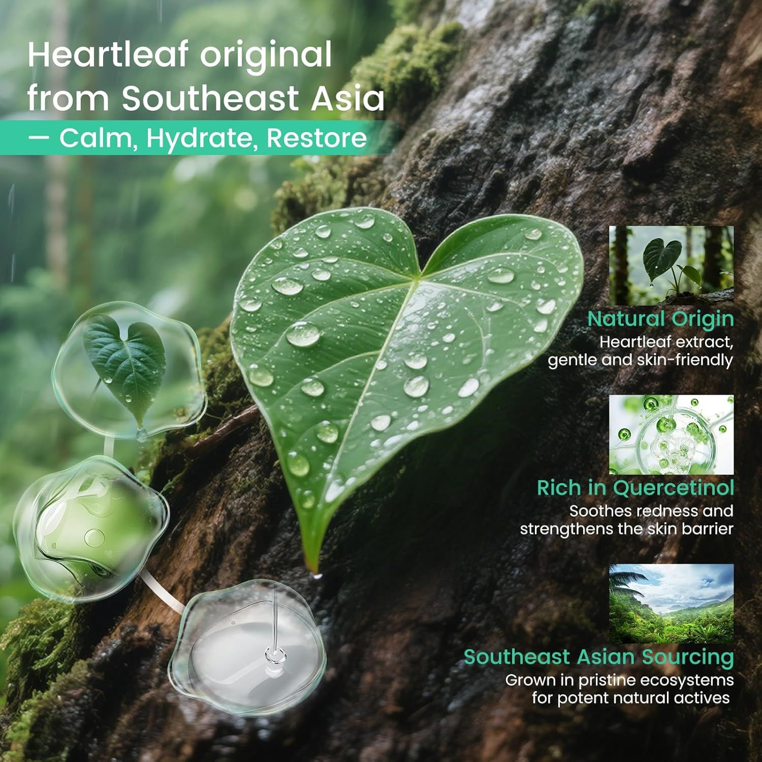 Communicates multiple distinct benefits of the heartleaf ingredient: its natural gentle origin, its active compound (Quercetinol) that soothes and strengthens skin, and its pristine sourcing from…