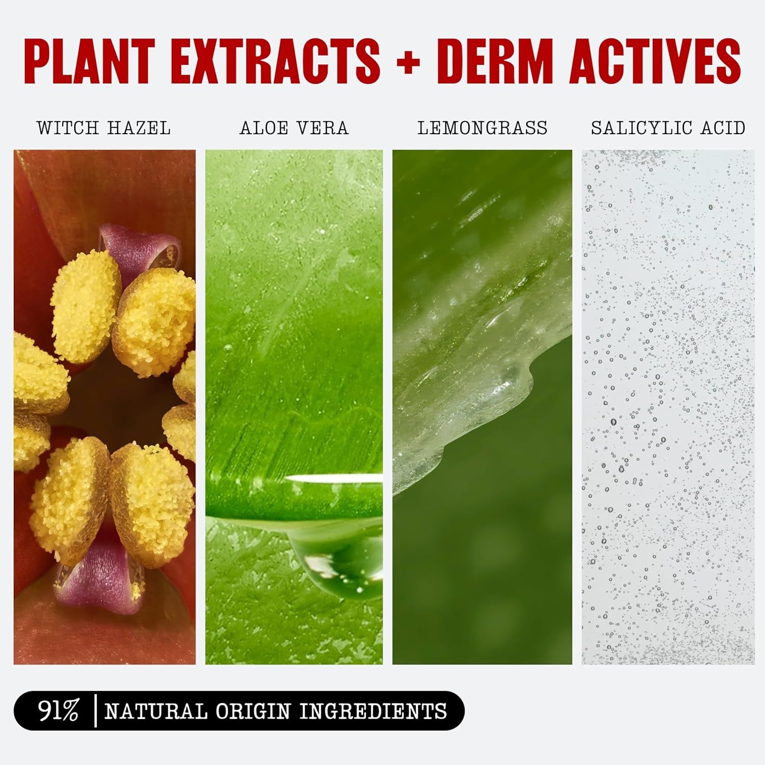Highlights the product's key natural ingredients (Witch Hazel, Aloe Vera, Lemongrass, Salicylic Acid) and emphasizes that 91% of ingredients are of natural origin to reassure shoppers about the…