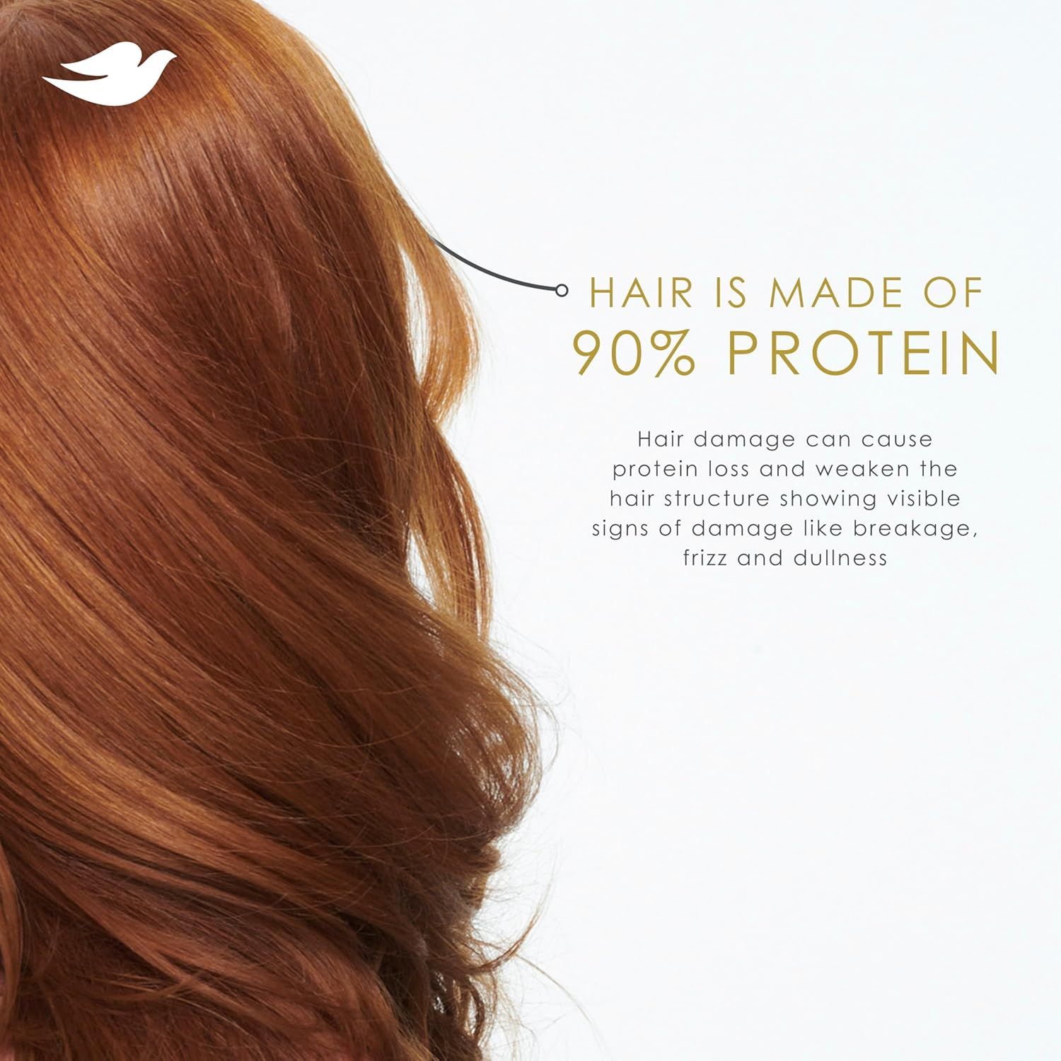 Communicates the scientific fact that hair is made of 90% protein to establish the product's relevance and educate shoppers about why protein-based hair care is important for preventing damage.…