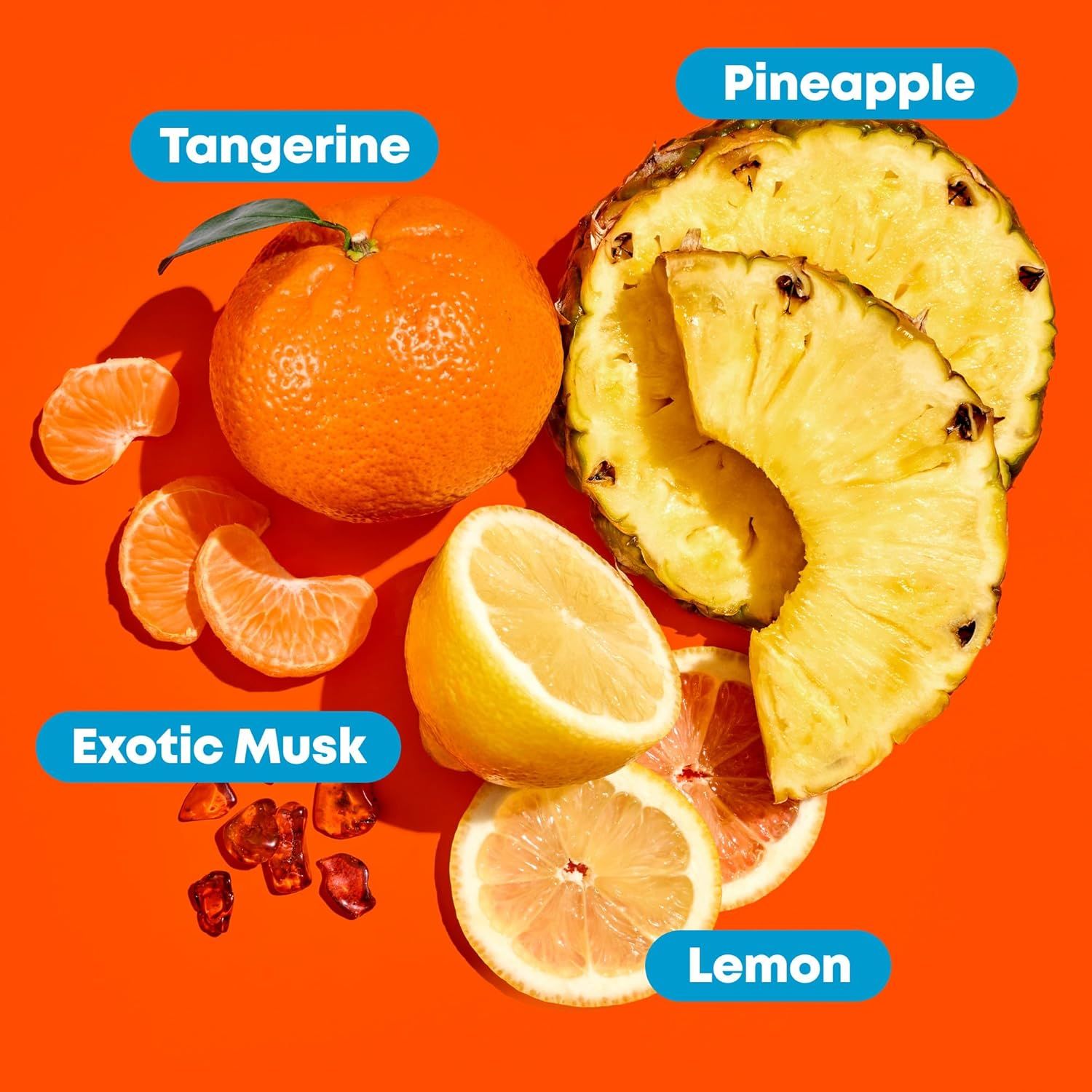 Showcases the different flavor options available in the product line, helping shoppers understand the variety and choose their preferred flavor.