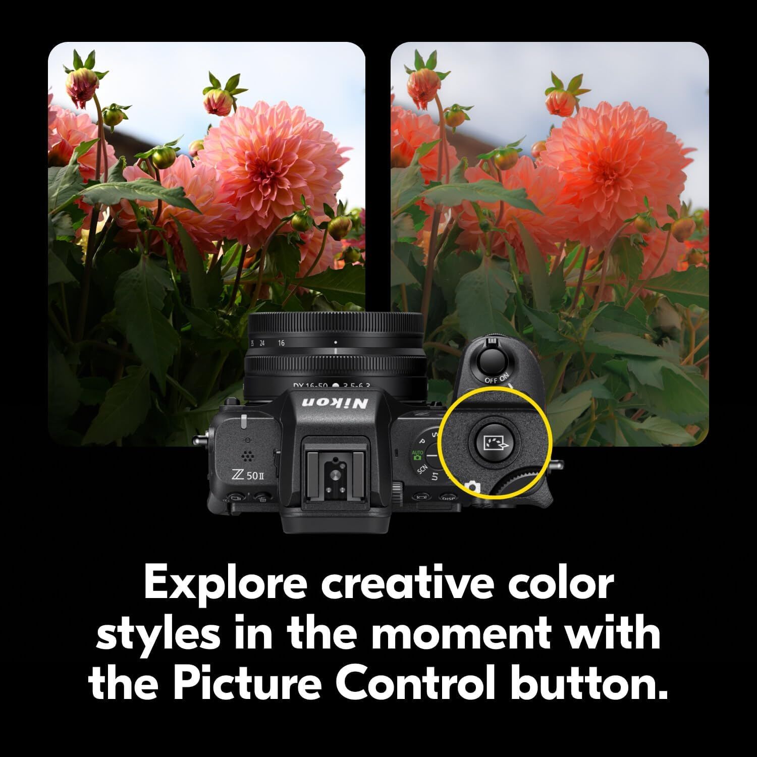 Highlights the camera's Picture Control button feature that allows photographers to explore and adjust creative color styles in real-time while shooting.
