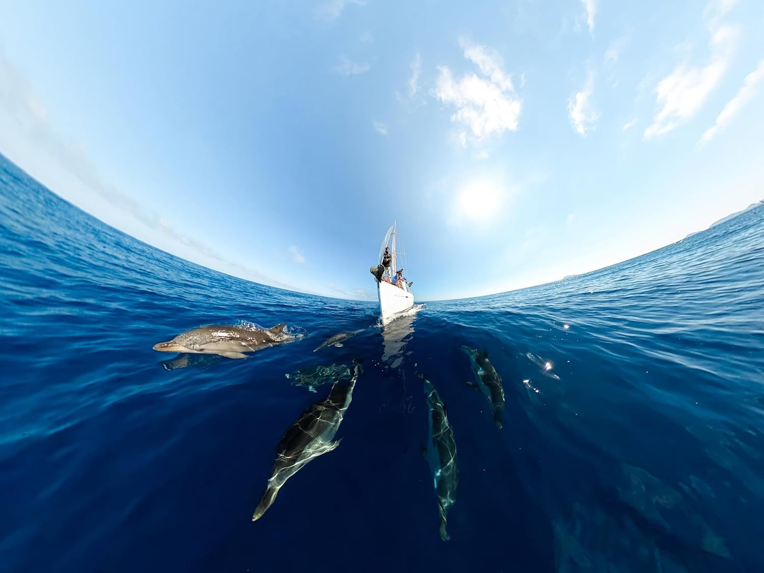 Showcases the product in an aspirational real-world ocean setting with marine life, creating emotional appeal and demonstrating the product's use in adventure and nature contexts.