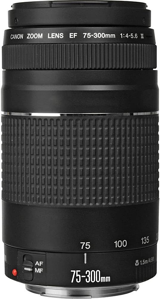 Provides a clean, catalog-style view of the Canon zoom lens on a white background with no text overlays or design elements, allowing shoppers to see the product clearly.