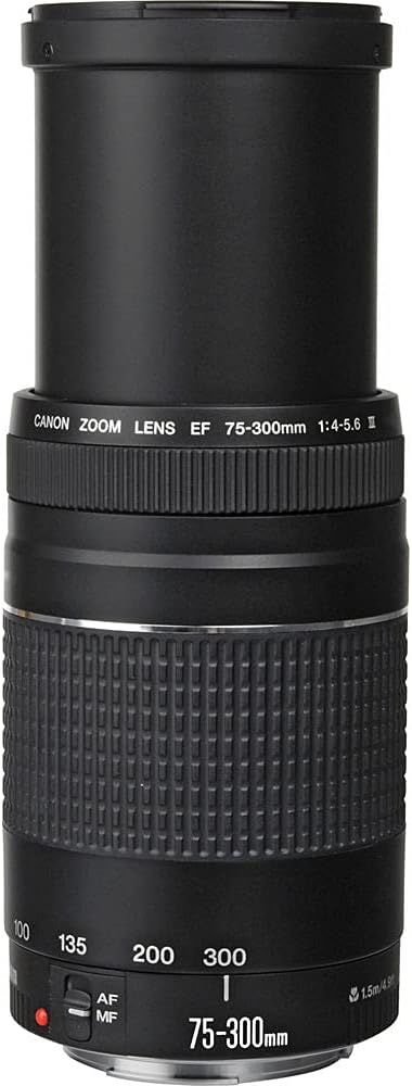 Provides a clean, catalog-style view of the Canon zoom lens on a white background with no text overlays or design elements, allowing shoppers to see the product clearly.