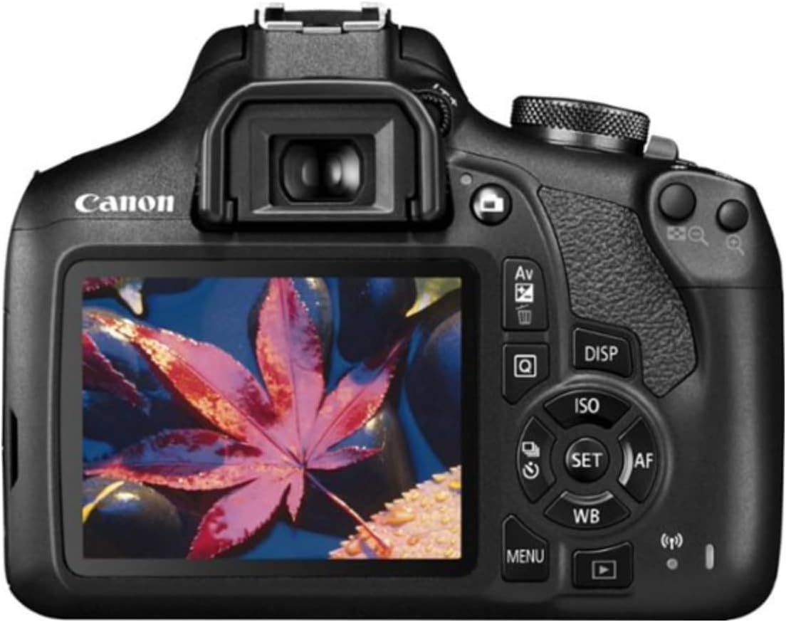 Provides a clean, catalog-style view of the Canon DSLR camera from the rear, showing the LCD screen, viewfinder, and control buttons without any distractions.