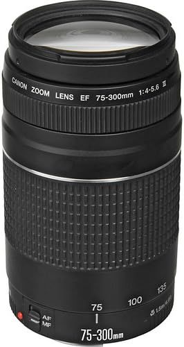 Provides a clean, catalog-style view of the Canon zoom lens on a white background with no text or design elements, allowing shoppers to see the product clearly.