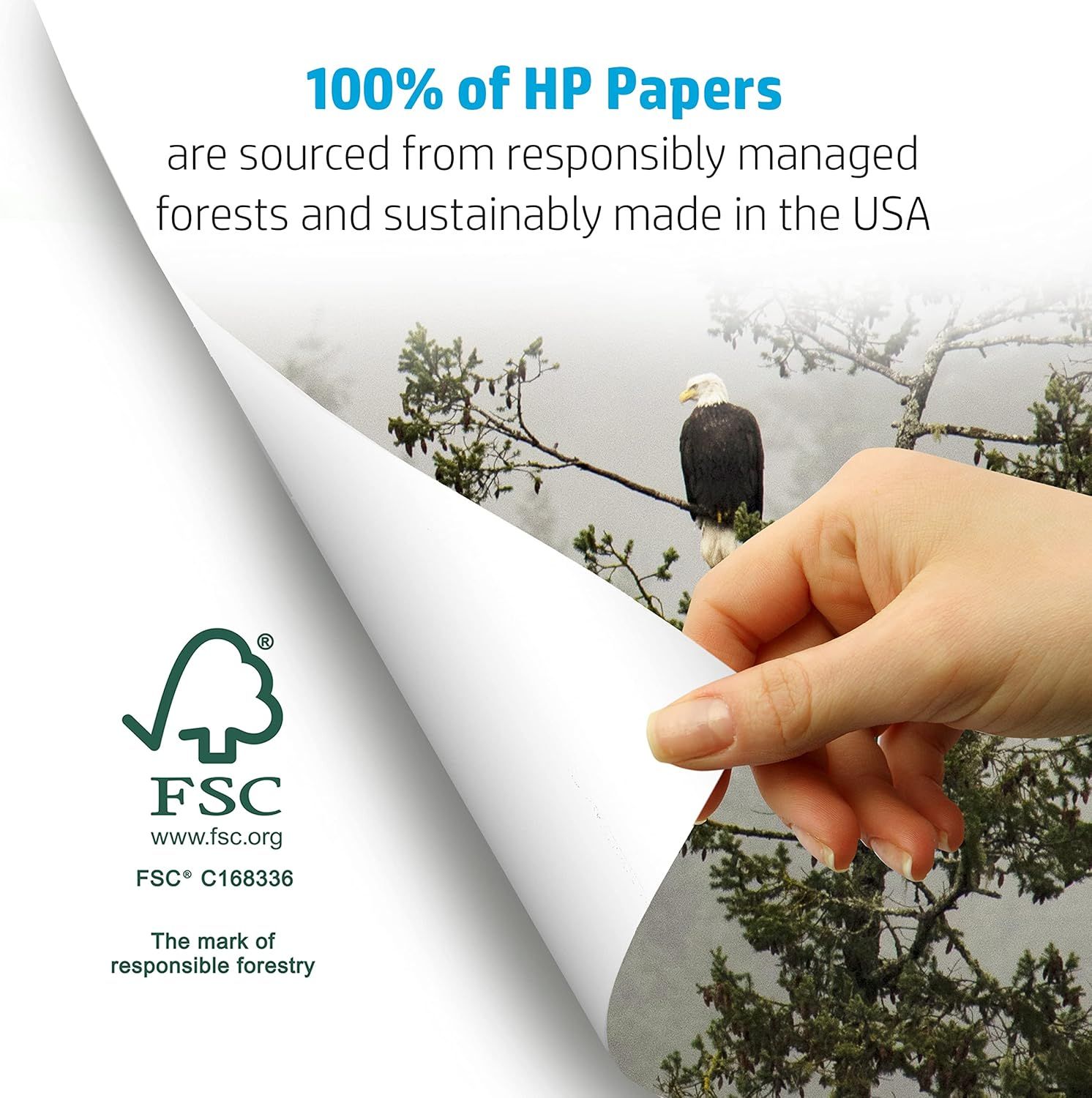 Communicates the brand's environmental responsibility by highlighting that 100% of HP papers are sourced from responsibly managed forests, FSC certified, and sustainably made in the USA to reassure…