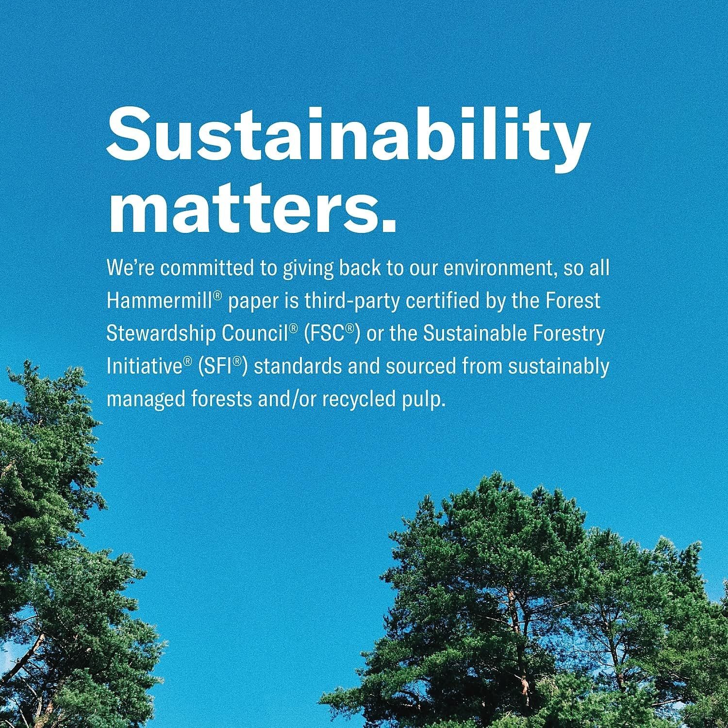 Communicates the brand's environmental commitment by highlighting third-party sustainability certifications (FSC and SFI) and responsible sourcing practices to reassure eco-conscious shoppers.