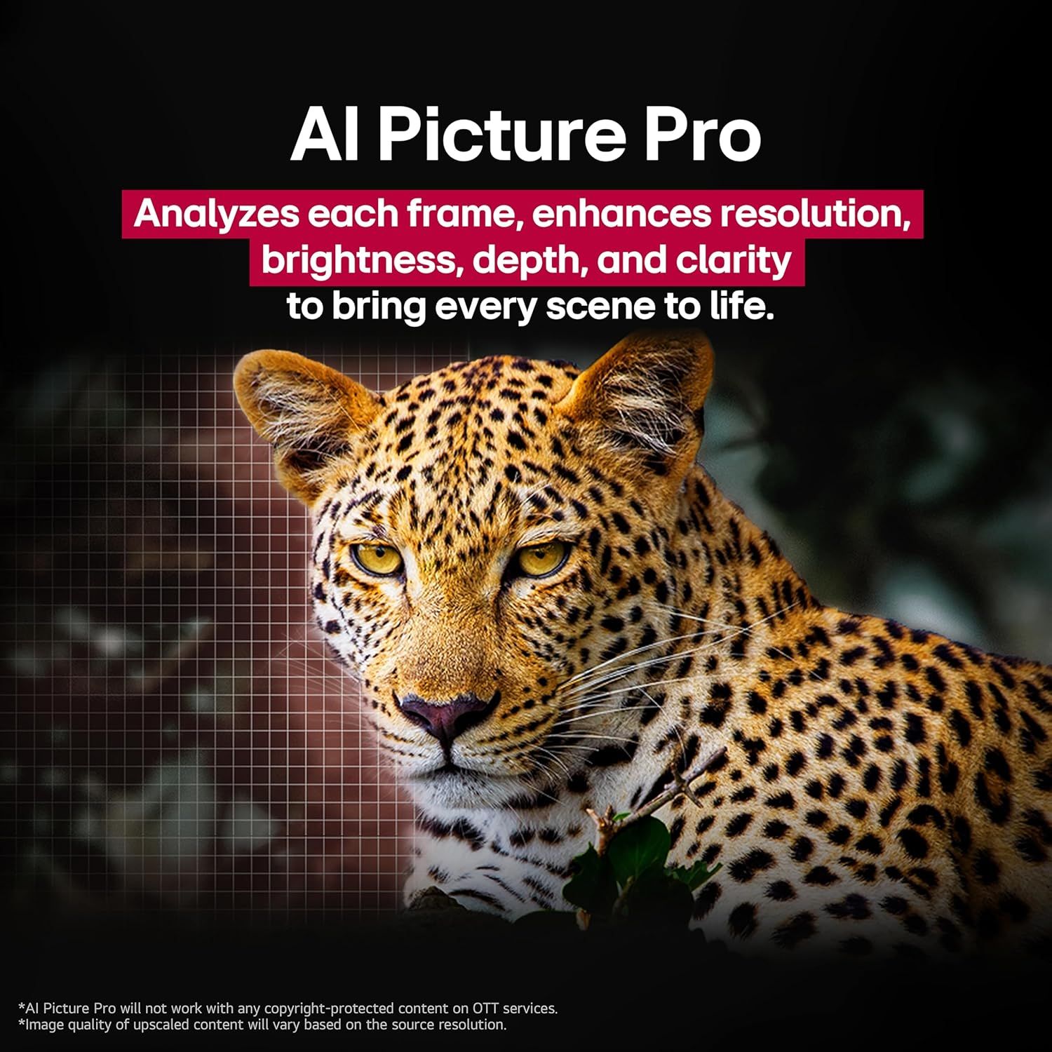 Demonstrates the transformative power of AI Picture Pro by showing a side-by-side comparison of enhanced image quality, highlighting improvements in resolution, brightness, depth, and clarity to…