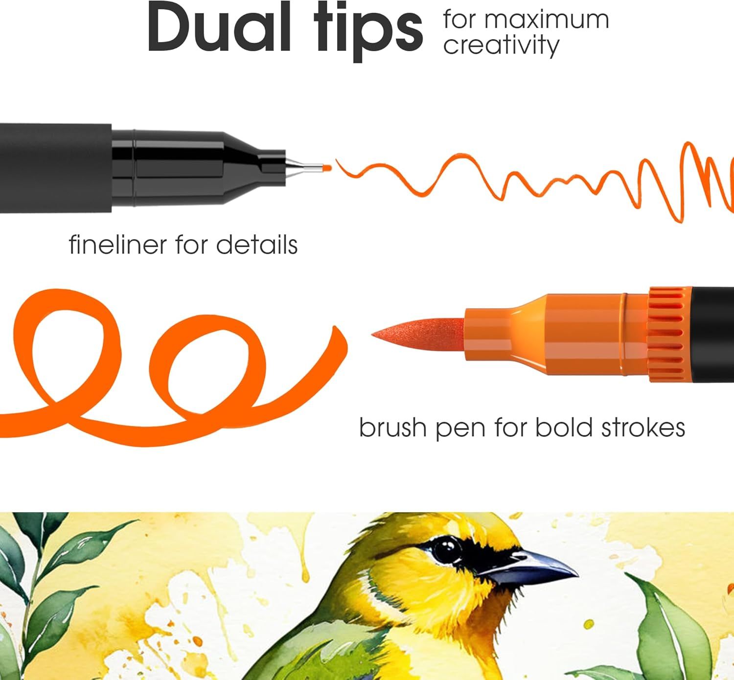 Explains the dual-tip design of the marker, showing how the fineliner tip is used for details and the brush pen tip is used for bold strokes, helping shoppers understand the product's versatility…