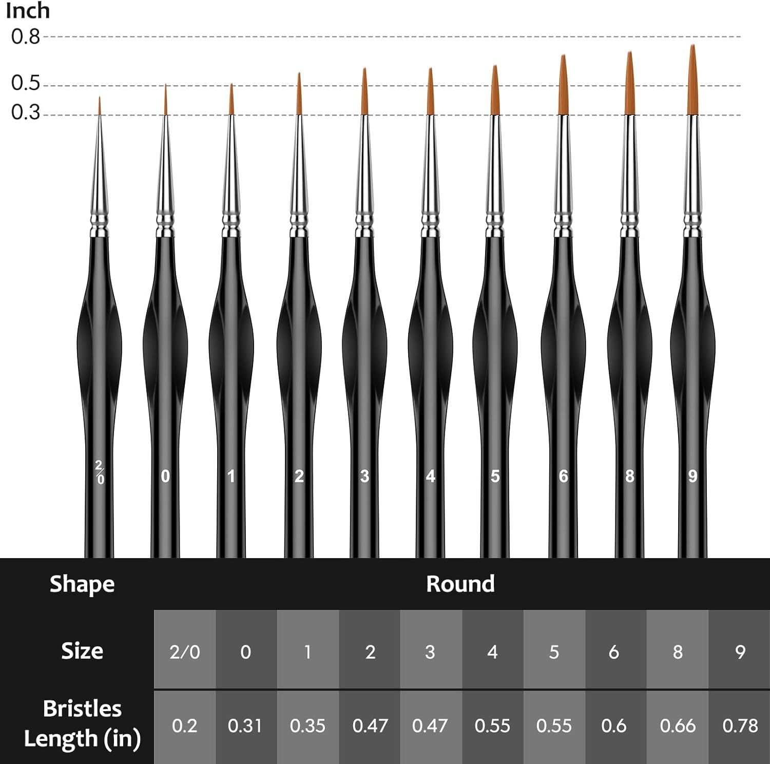 Provides precise dimensional information showing the bristle length in inches for each brush size to help shoppers understand the exact physical specifications and choose the right size for their…