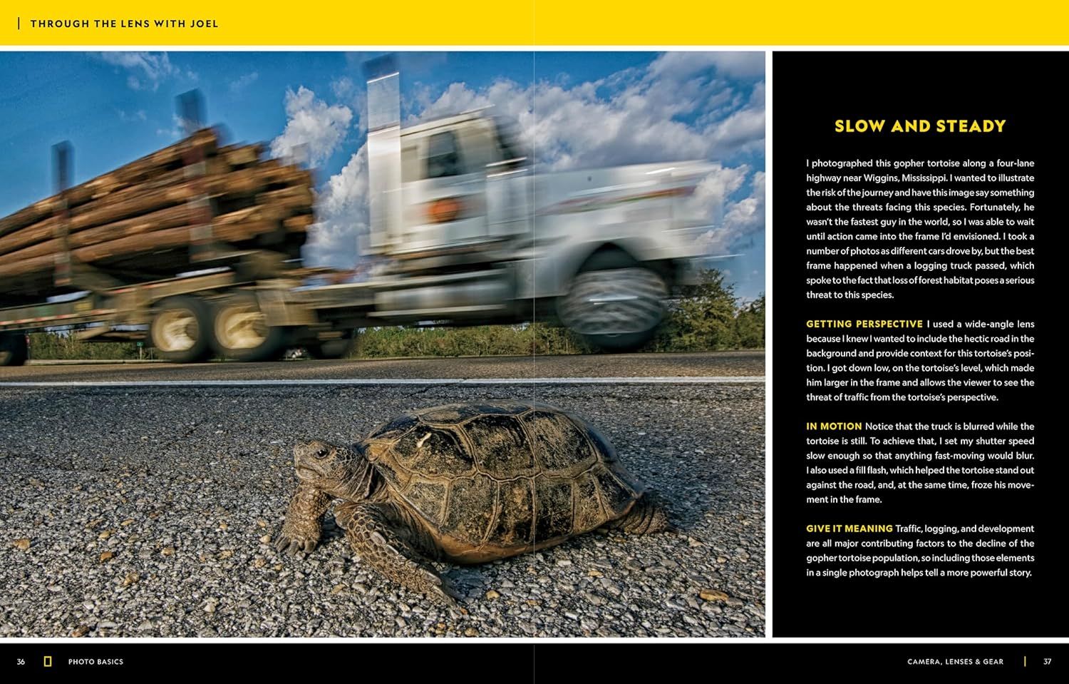 This image educates photographers on how to capture compelling wildlife conservation images by explaining camera techniques like shutter speed, lens choice, perspective, and fill flash to create…