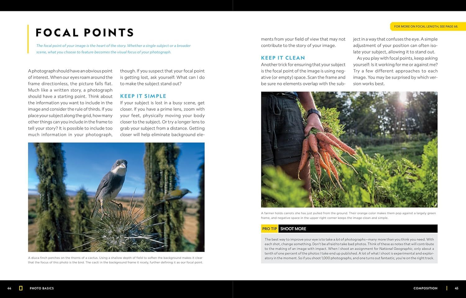 This image educates photographers on how to identify and use focal points in their photography, demonstrating composition principles through example photos and instructional text.