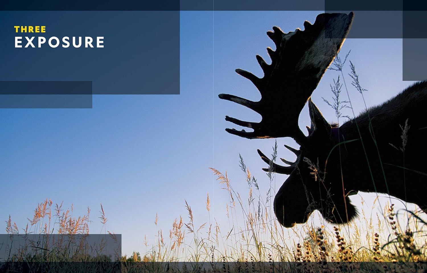 Showcases the product in a dramatic outdoor wildlife setting to evoke adventure and natural beauty, appealing to outdoor enthusiasts.