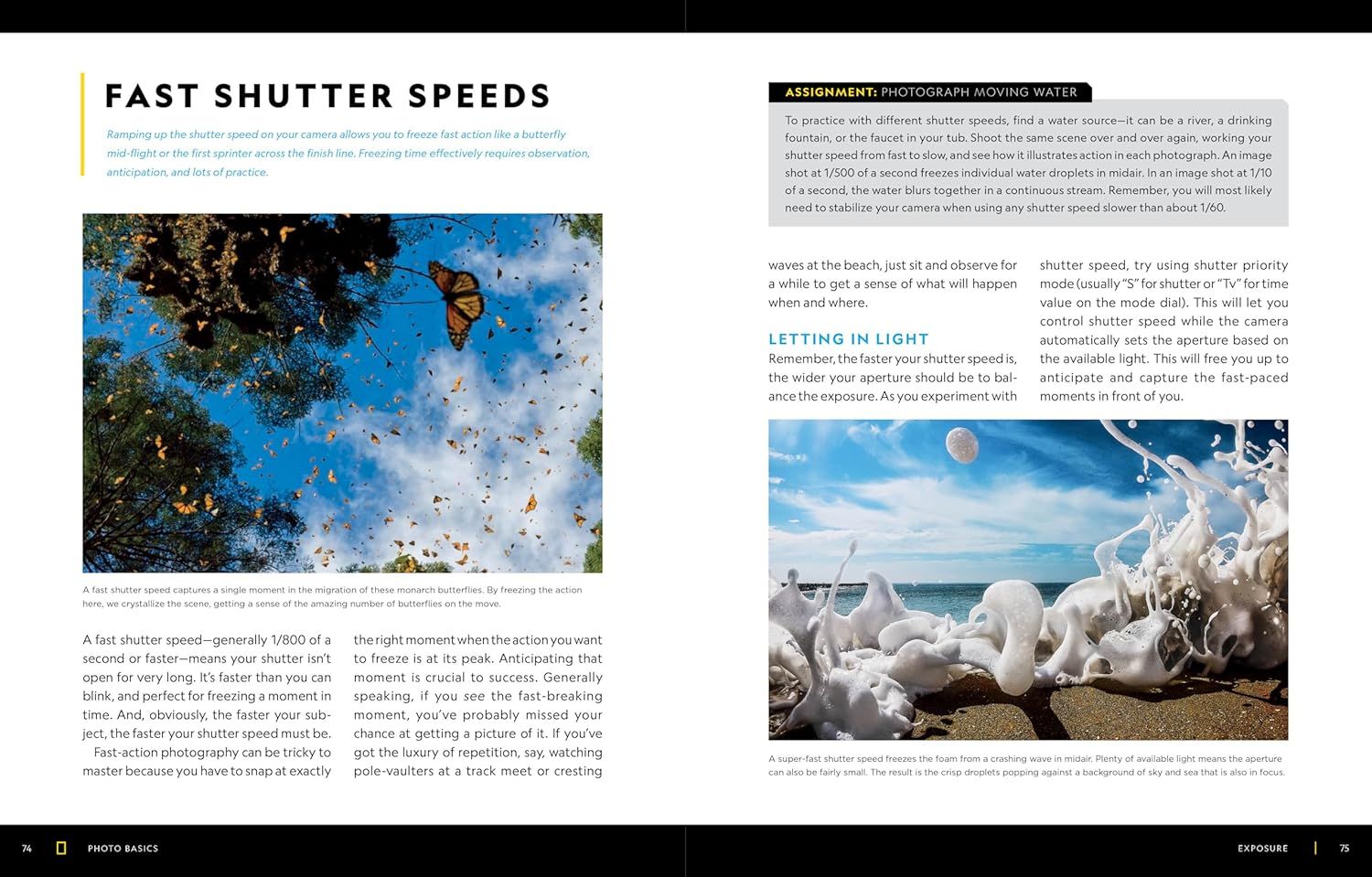 This image teaches photographers how to use fast shutter speeds to freeze action and capture moving subjects like butterflies and water, providing instructional guidance on technique and settings.