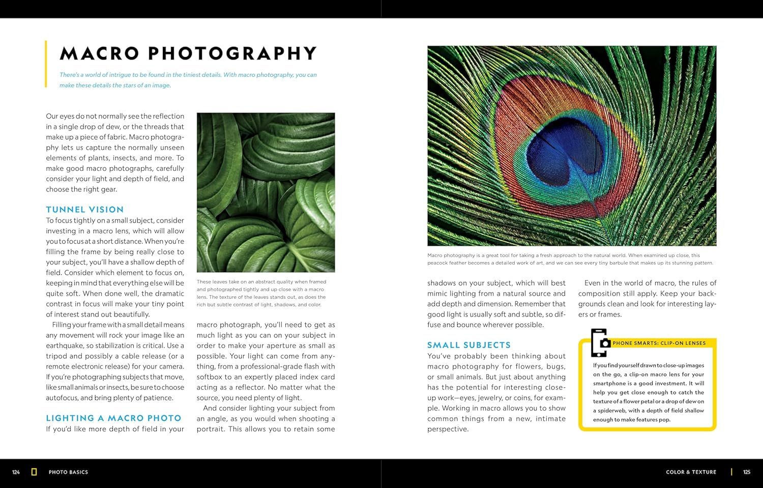 This image educates shoppers on how to use macro photography techniques, including focusing methods, lighting considerations, and subject selection to capture detailed close-up images.