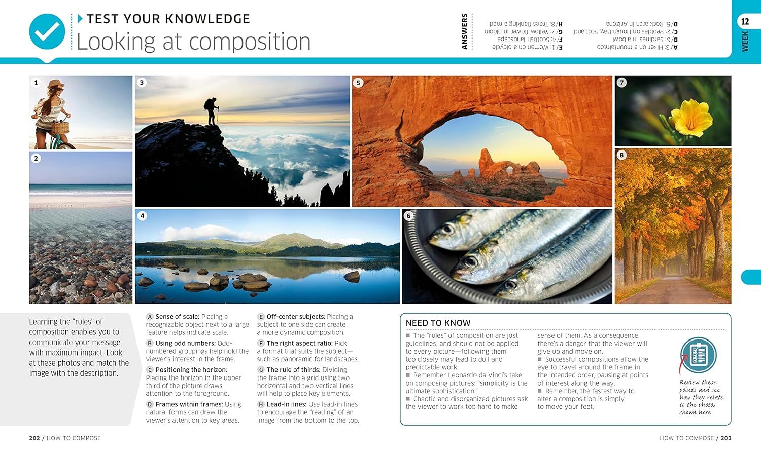 This image teaches photographers the rules of composition through multiple visual examples and instructional text, helping them understand how to frame and structure their photos for maximum impact.
