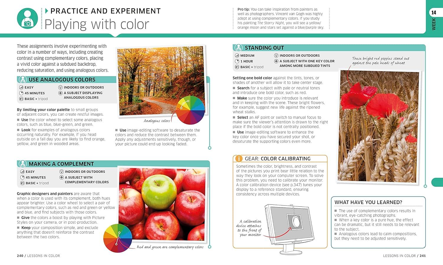 This educational page teaches photographers multiple color theory techniques and practical assignments to improve their photography through strategic use of color palettes and contrast.
