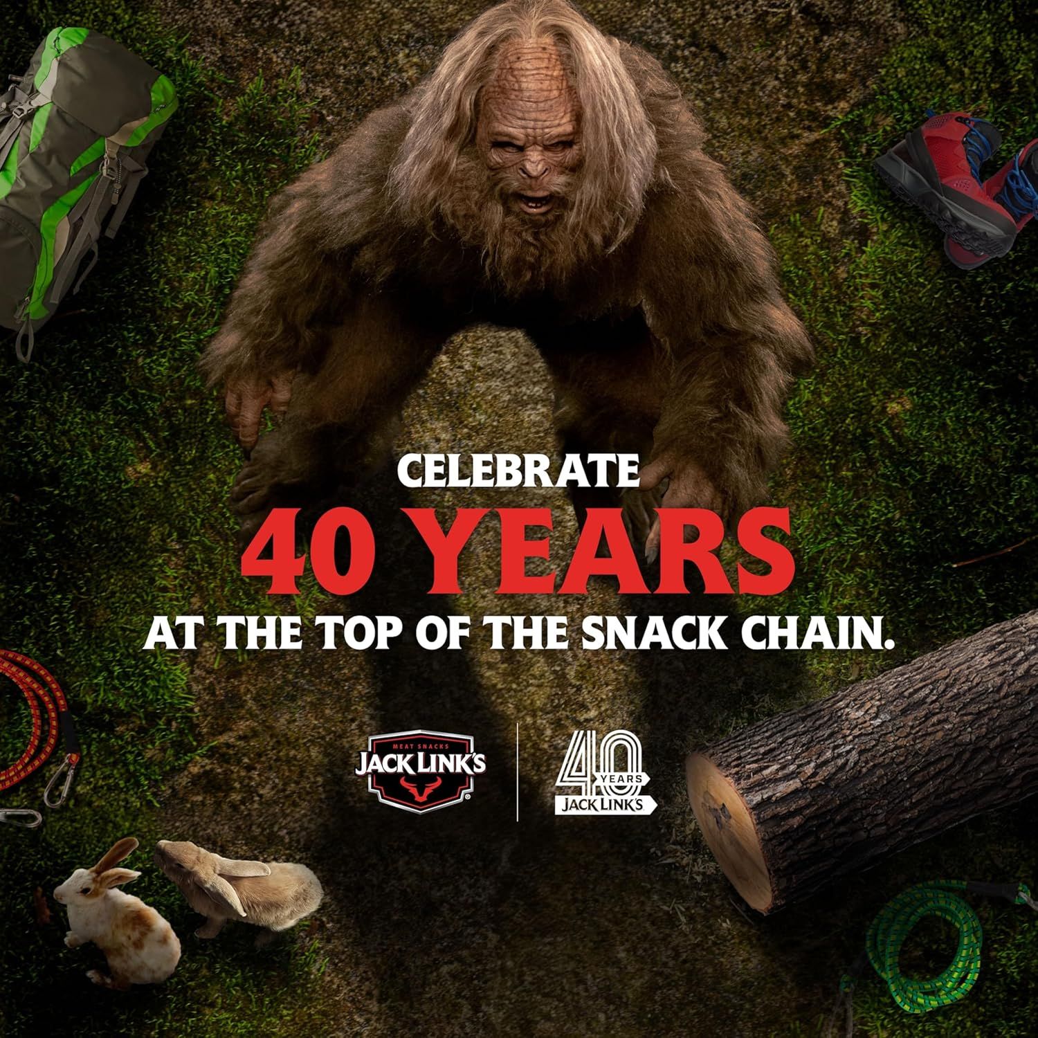 Celebrates Jack Link's 40-year heritage and leadership position in the snack industry to build brand trust and emotional connection with shoppers.