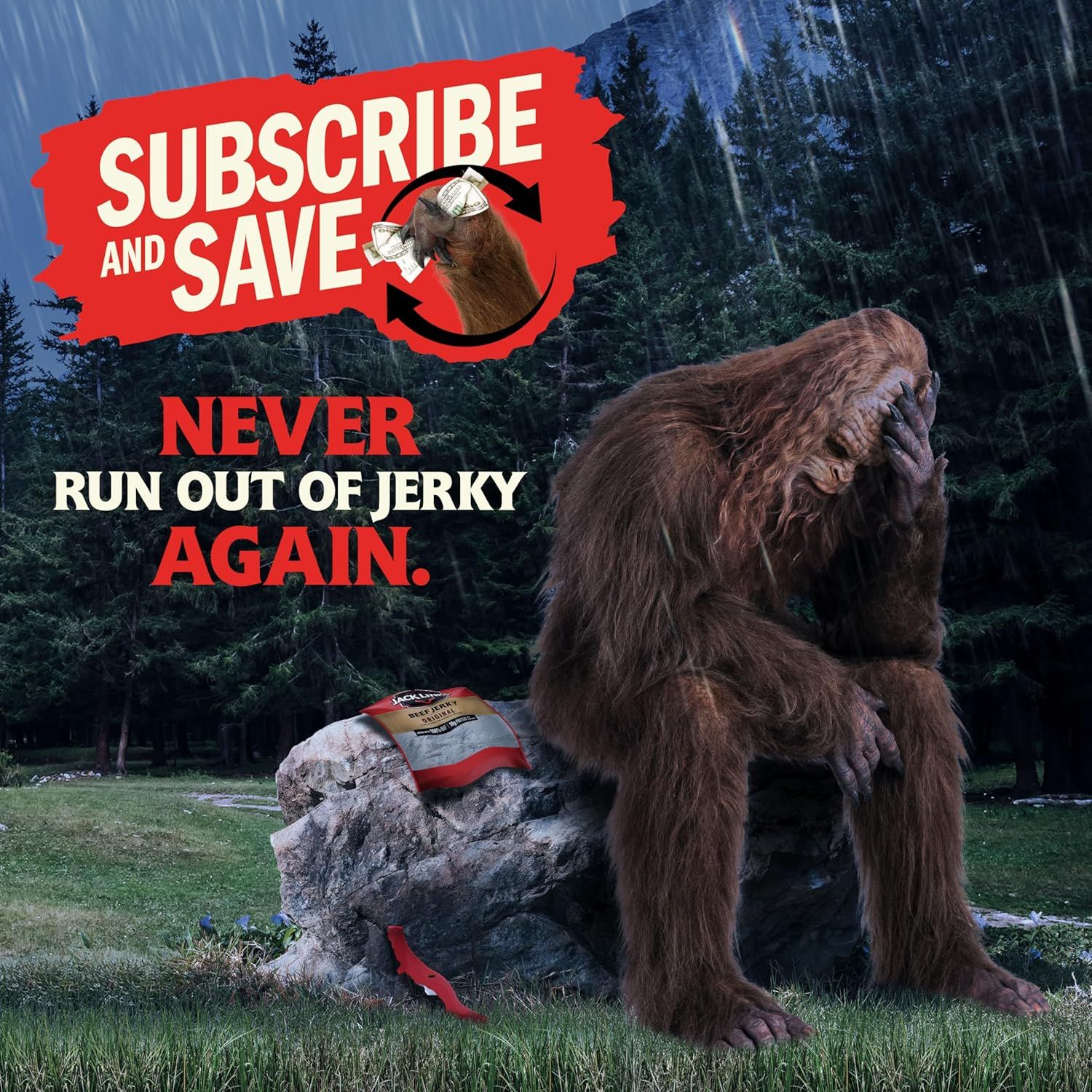 Promotes a subscription service that ensures customers never run out of jerky, using humor and a memorable visual to communicate the convenience benefit of auto-delivery.