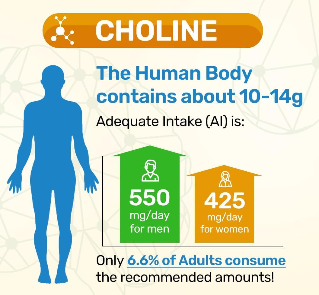 Communicates the recommended daily choline intake for men and women, and highlights that only 6.6% of adults meet these recommendations, emphasizing the need for supplementation.