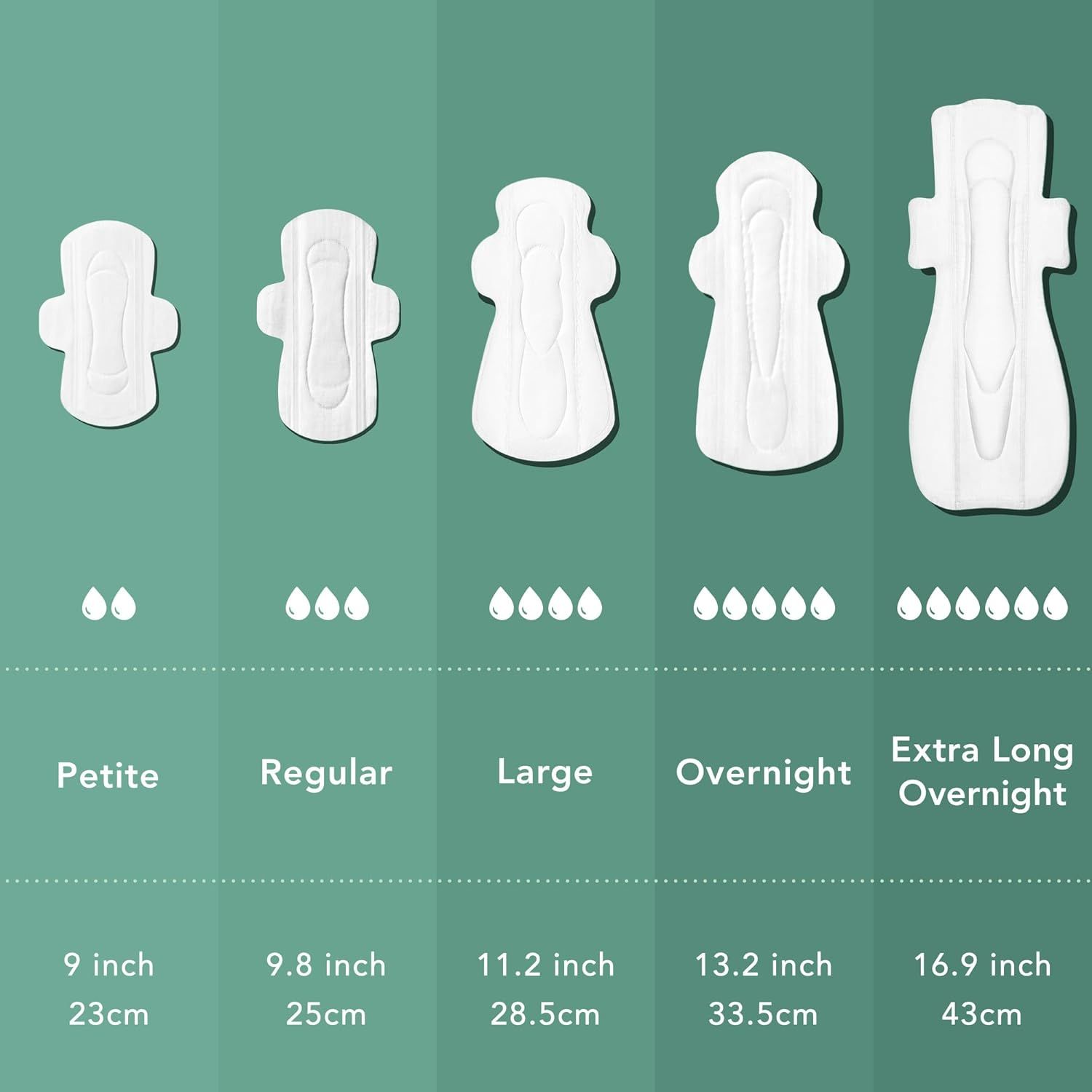 Helps shoppers choose the right pad size from the brand's product lineup by showing all available size options with corresponding absorbency levels and dimensions.