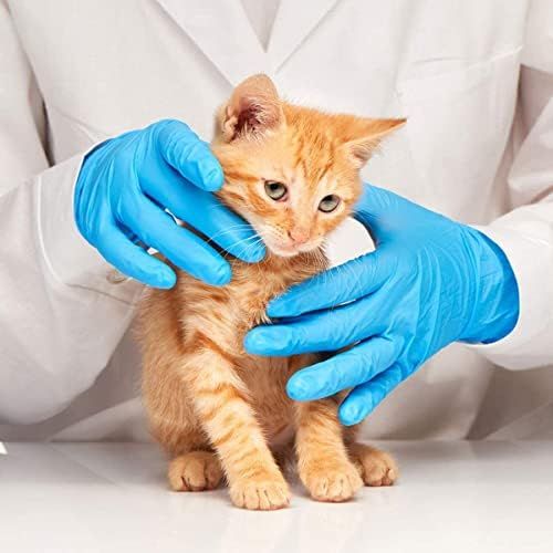 Demonstrates the product in a real-world veterinary or professional care context, showing the gloves being used to handle a small animal safely and gently.