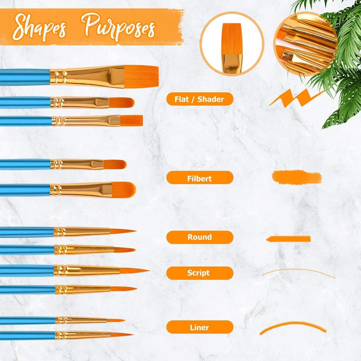 This image breaks down the different brush shapes included in the set and explains their specific purposes, helping shoppers understand which brush to use for different painting techniques.