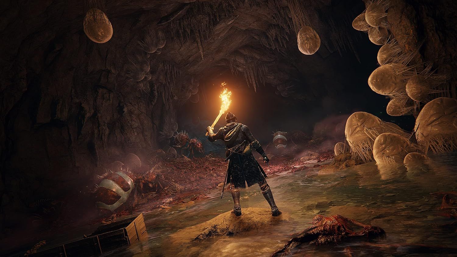 Showcases the product (video game) in its natural context, immersing the shopper in the game's dark fantasy atmosphere and visual quality without text or feature callouts.