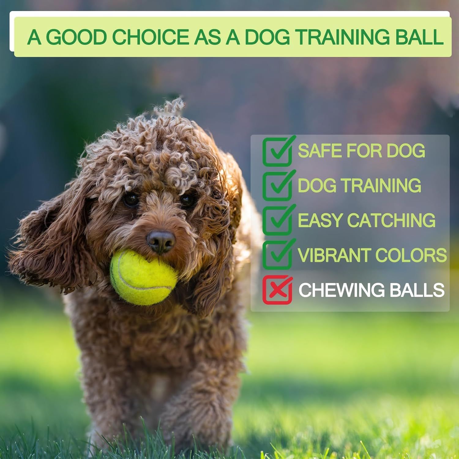 Communicates multiple distinct benefits of the dog training ball in a segmented checklist format, highlighting safety, training suitability, ease of use, visual appeal, and clarifying it is not…