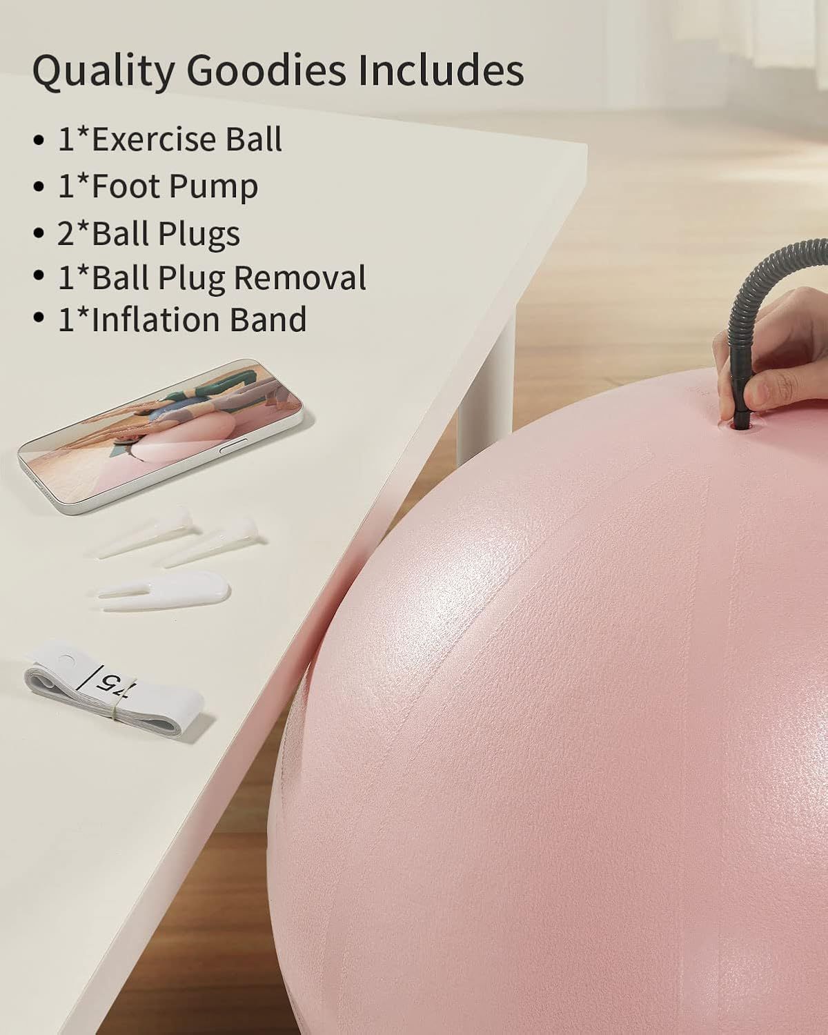 Shows all the accessories and components included with the exercise ball purchase to reassure shoppers they're getting a complete, ready-to-use kit.