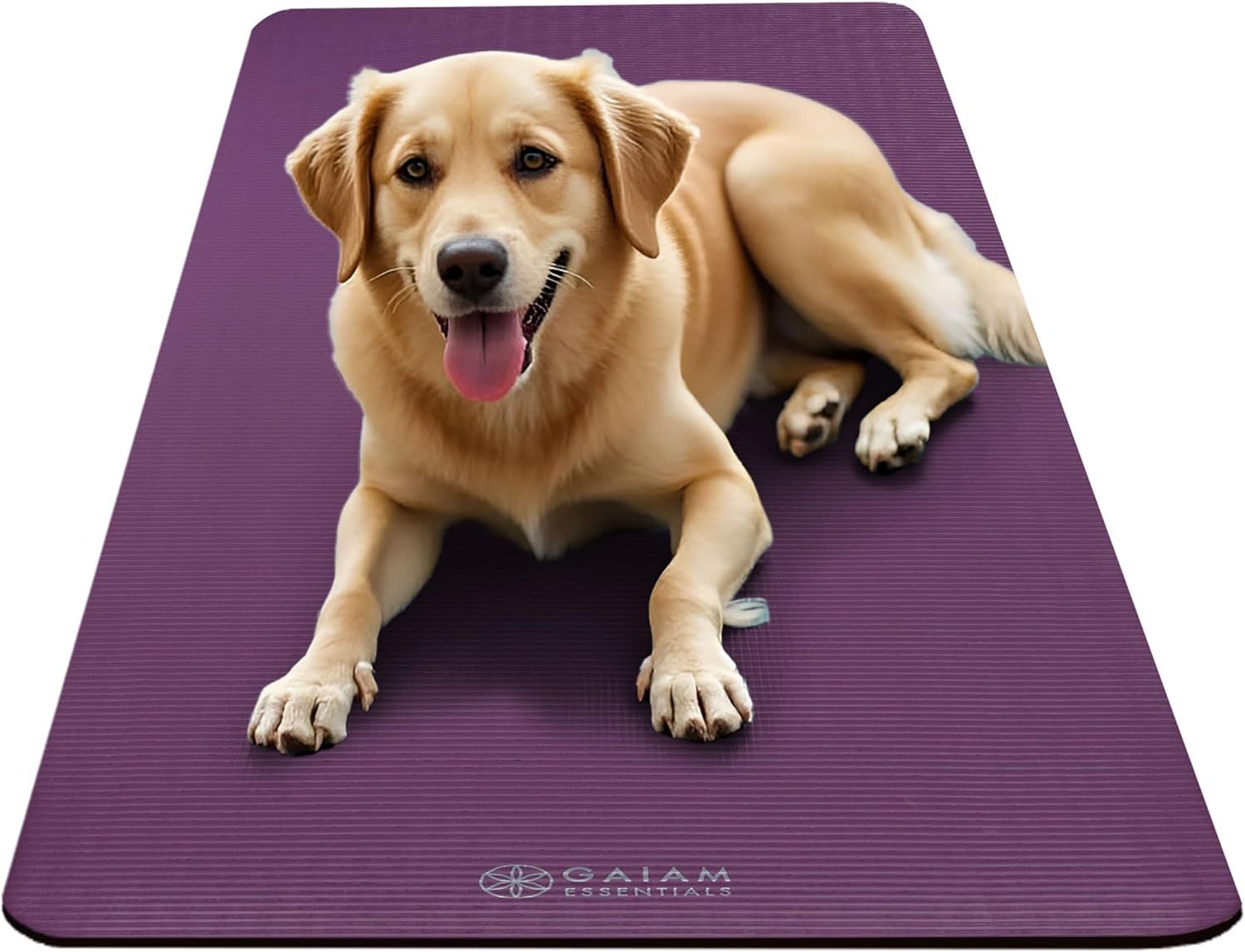 Demonstrates the product in a real-world context with a dog lying on the yoga mat, showing its practical use and appeal to pet owners.