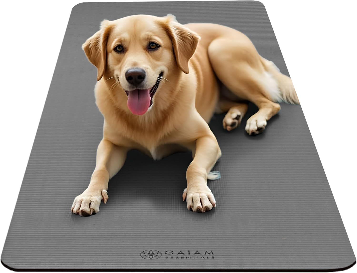 Demonstrates the product in a real-world context with a dog lying on the mat, showing its practical application for pet owners or home use without any text overlay or feature callouts.