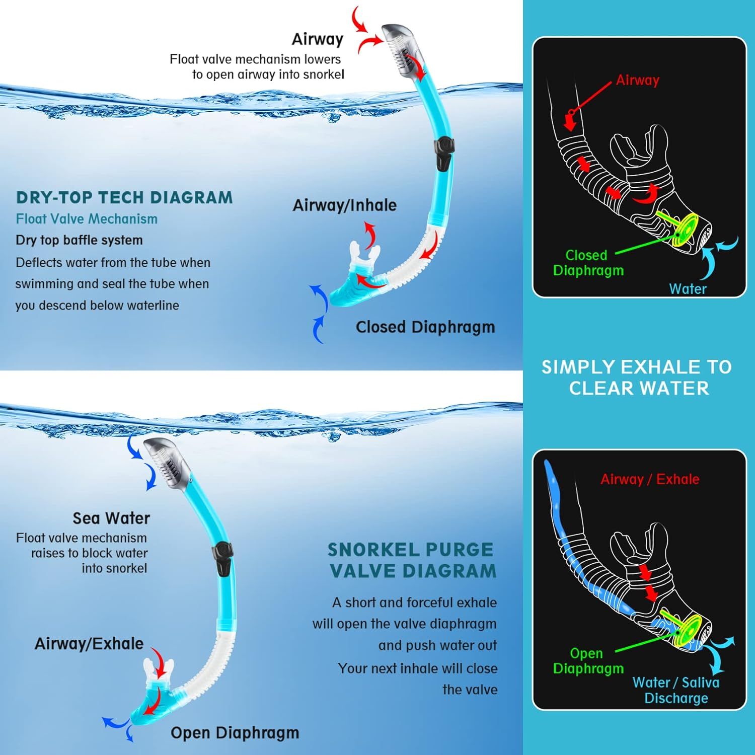 Explains the internal mechanical components and valve system of the snorkel, showing how the float valve and diaphragm work together to prevent water entry and enable water clearing. Demonstrates…