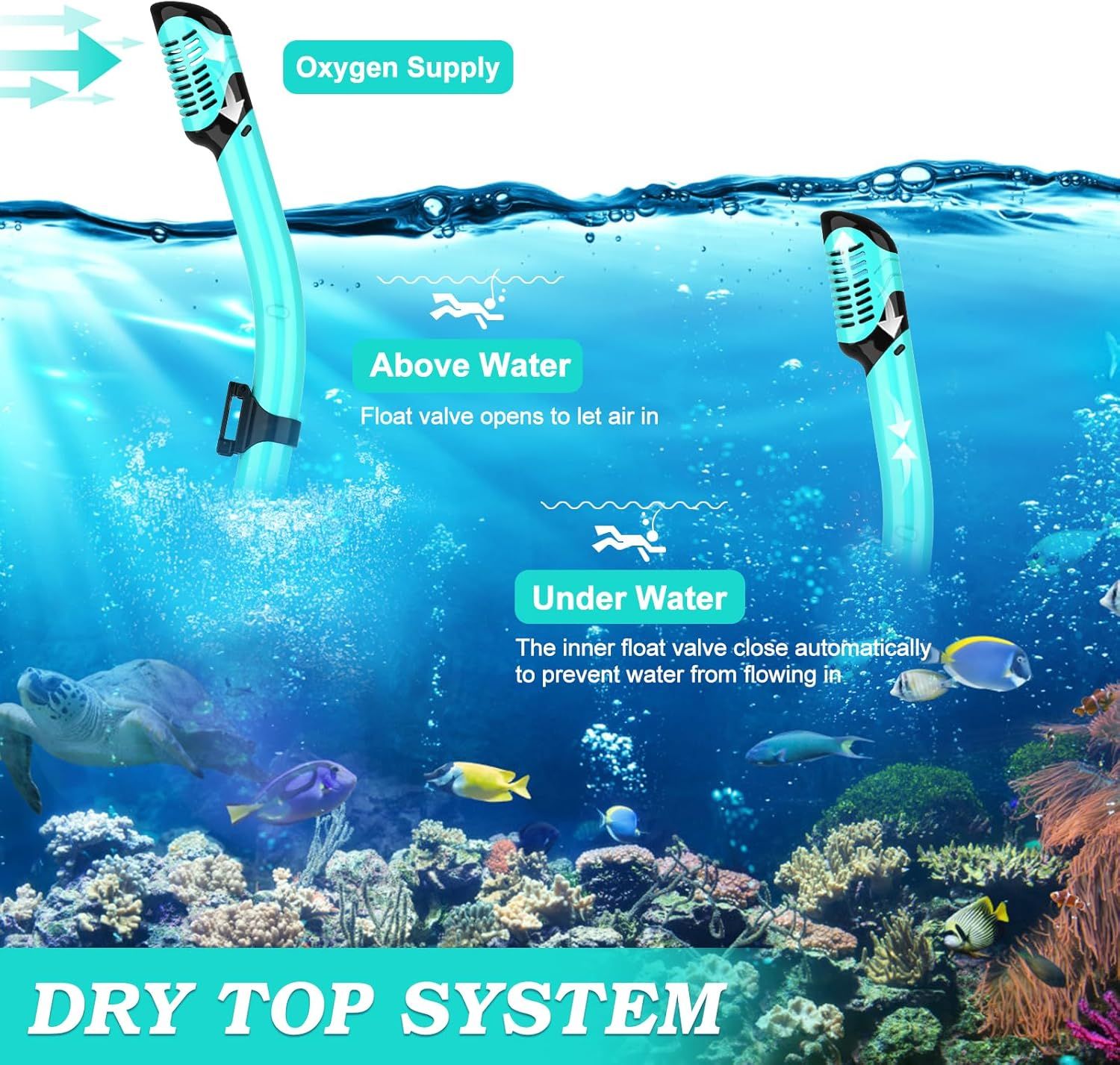 Explains how the product's dry top system works in two states: above water the float valve opens to let air in, and underwater it closes automatically to prevent water entry. Breaks down the…