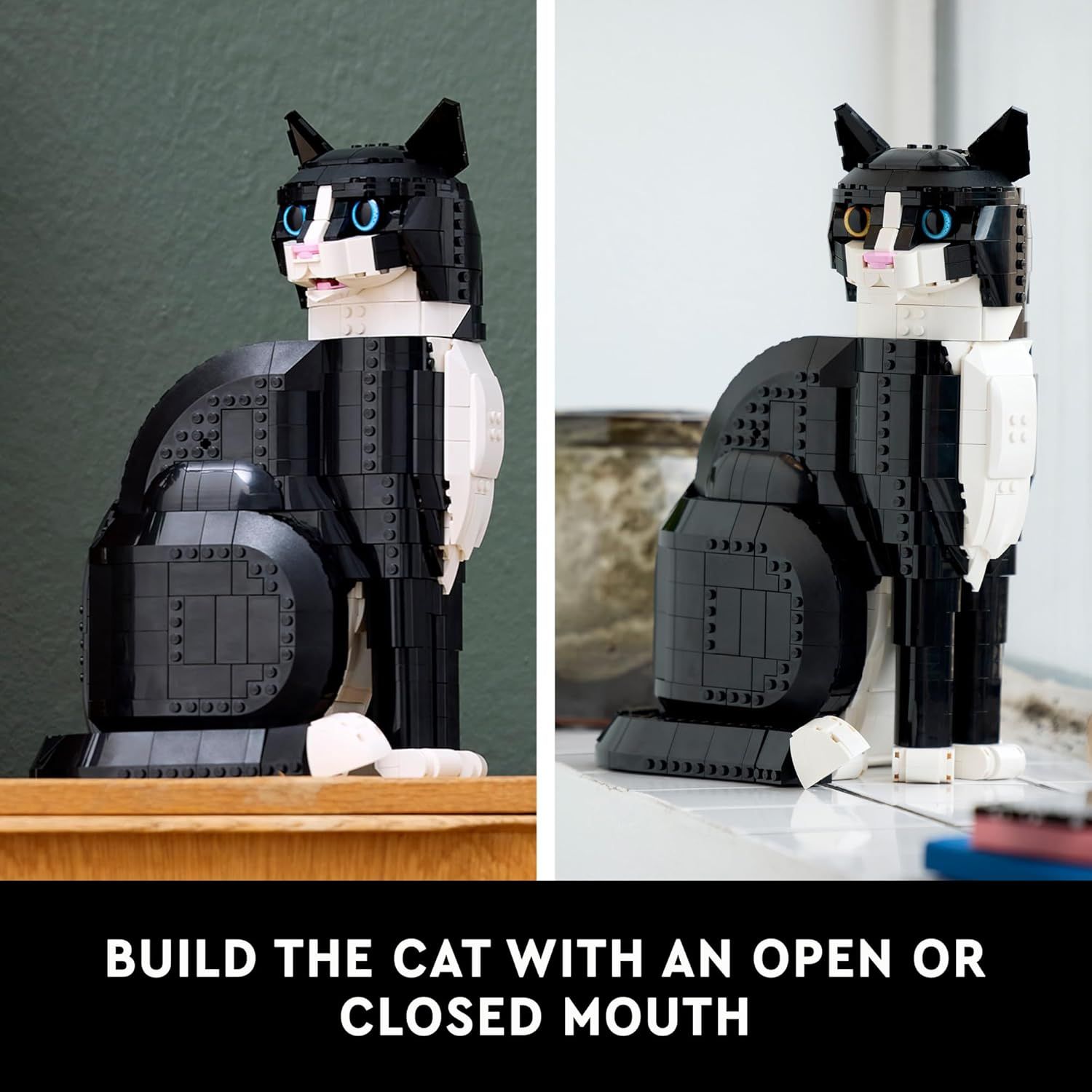 Demonstrates the product's customization feature, showing shoppers they can build the cat model with either an open or closed mouth, highlighting creative flexibility and play value.