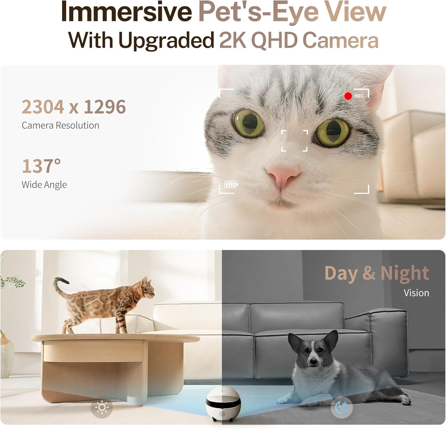 Communicates multiple technical features of the pet camera including immersive viewing angle, high resolution, wide field of view, and day/night capability to show comprehensive monitoring…