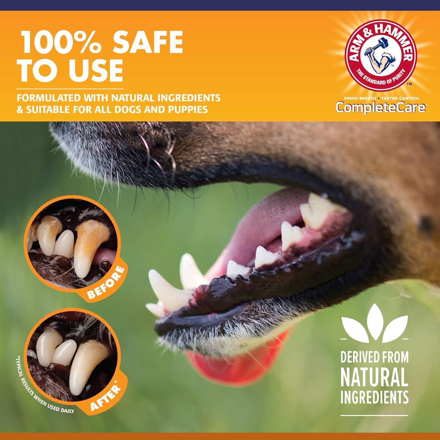 Demonstrates the visible transformation of a dog's teeth from tartar buildup to cleaner teeth after using the product, proving effectiveness and reassuring pet owners of the product's dental care…
