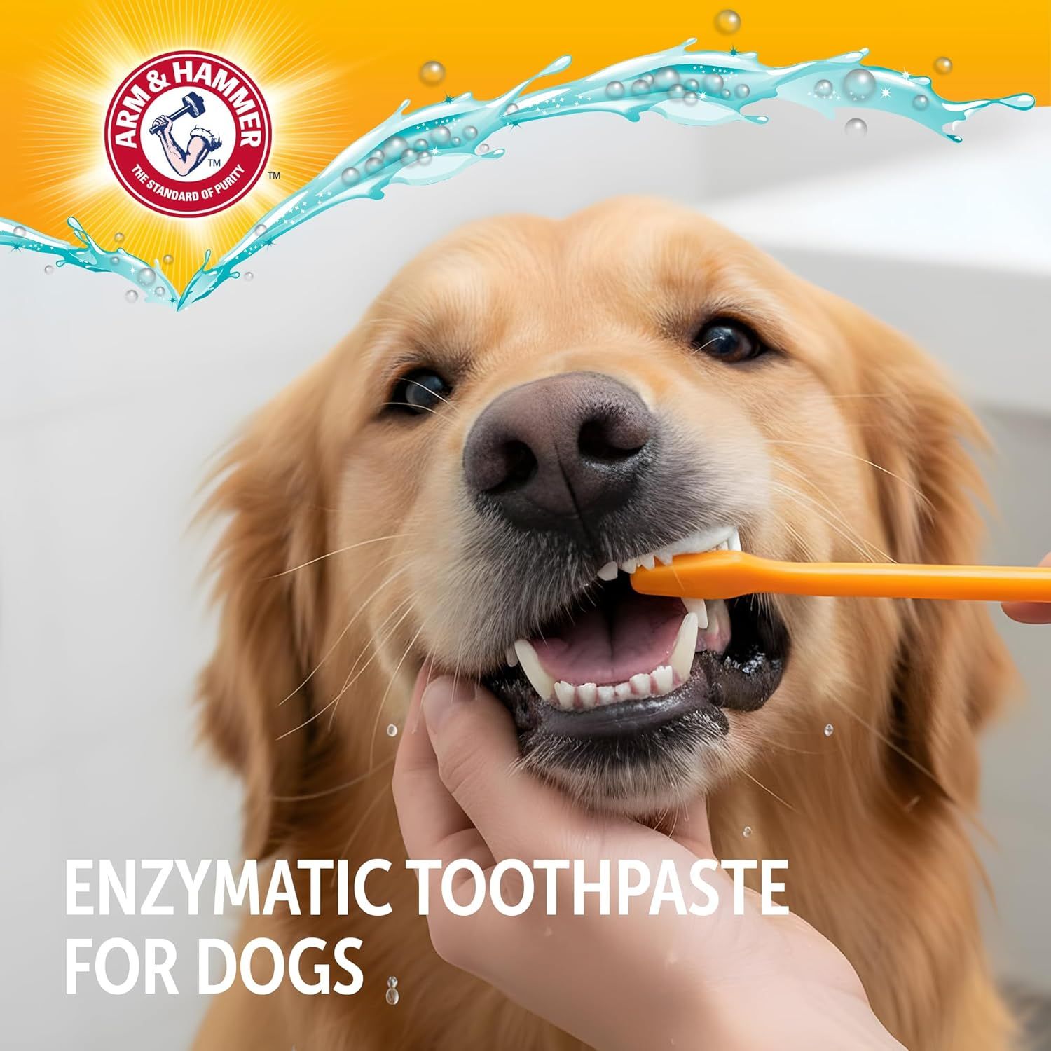Introduces the Arm & Hammer brand's enzymatic toothpaste product line for dogs, establishing brand recognition and trust through the prominent logo and lifestyle imagery.