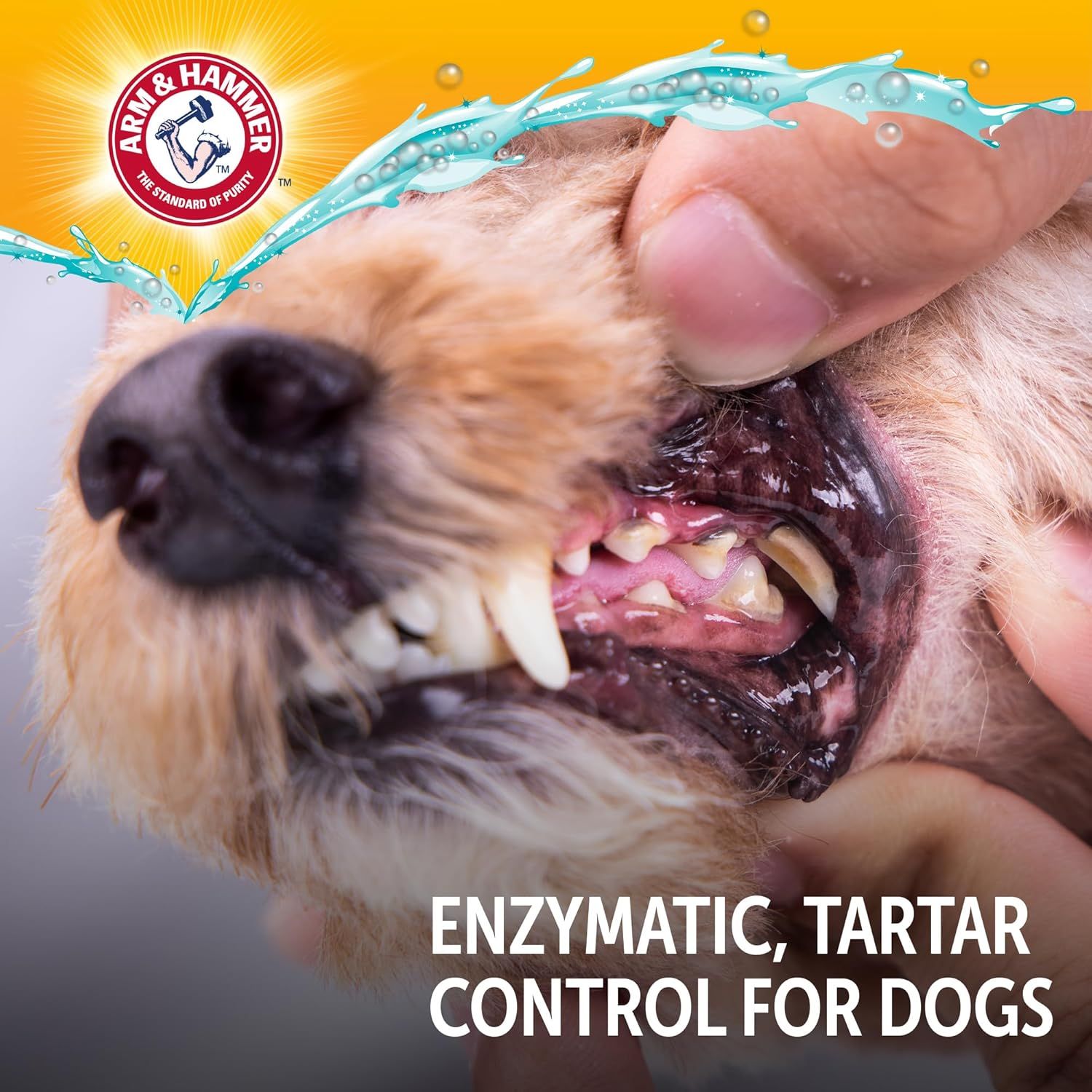 Communicates that the product provides enzymatic tartar control for dogs, reassuring pet owners that it effectively cleans and protects their dog's dental health.