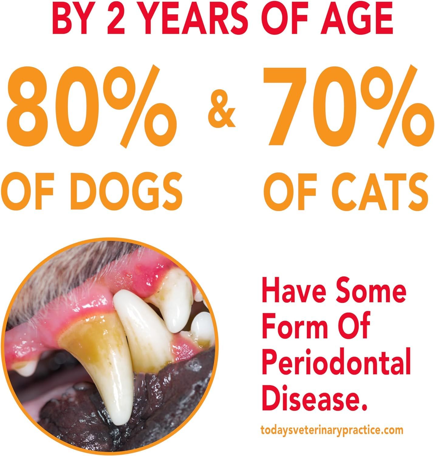 Communicates the high prevalence of periodontal disease in pets to emphasize the importance of dental care products and create urgency for pet owners.