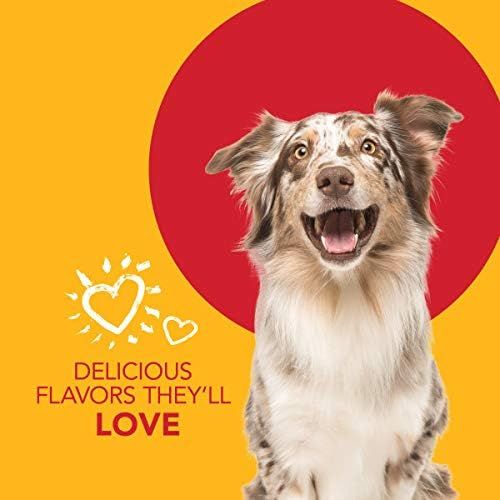 Communicates that the product has flavors dogs will love, using an enthusiastic dog image to emotionally connect with pet owners and reassure them about taste appeal.