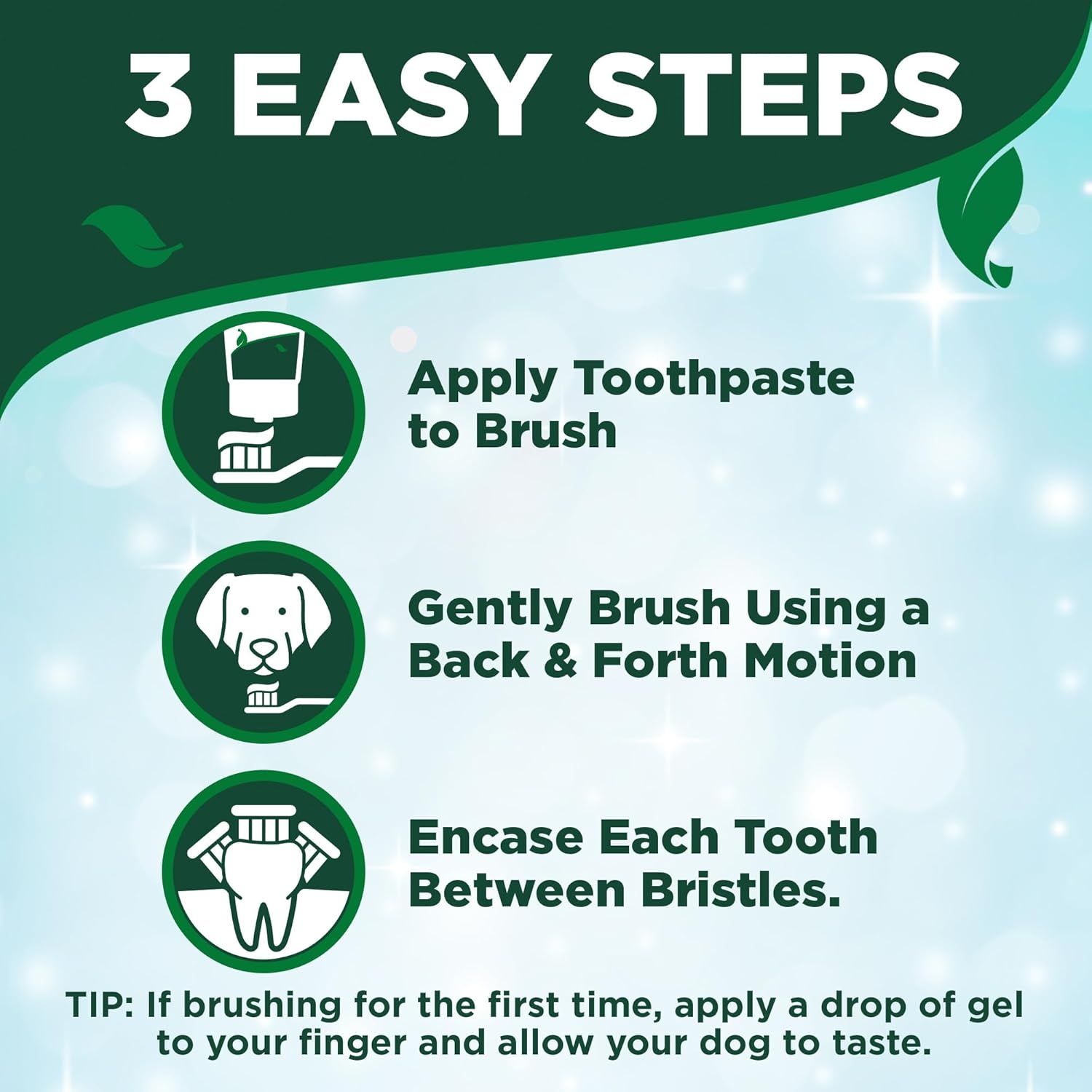 Provides clear step-by-step instructions on how to properly brush a dog's teeth with the toothpaste product, making the process easy and approachable for pet owners.