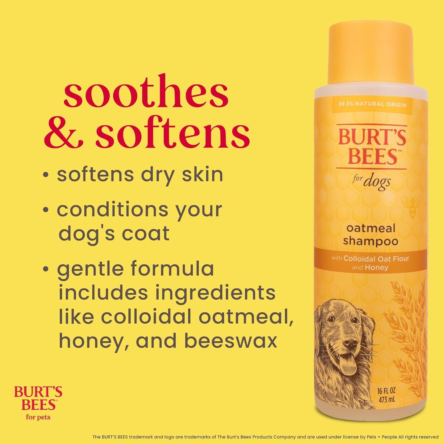 Communicates multiple distinct benefits of the dog shampoo—soothing and softening dry skin, conditioning the coat, and using a gentle natural formula—to reassure pet owners of the product's…