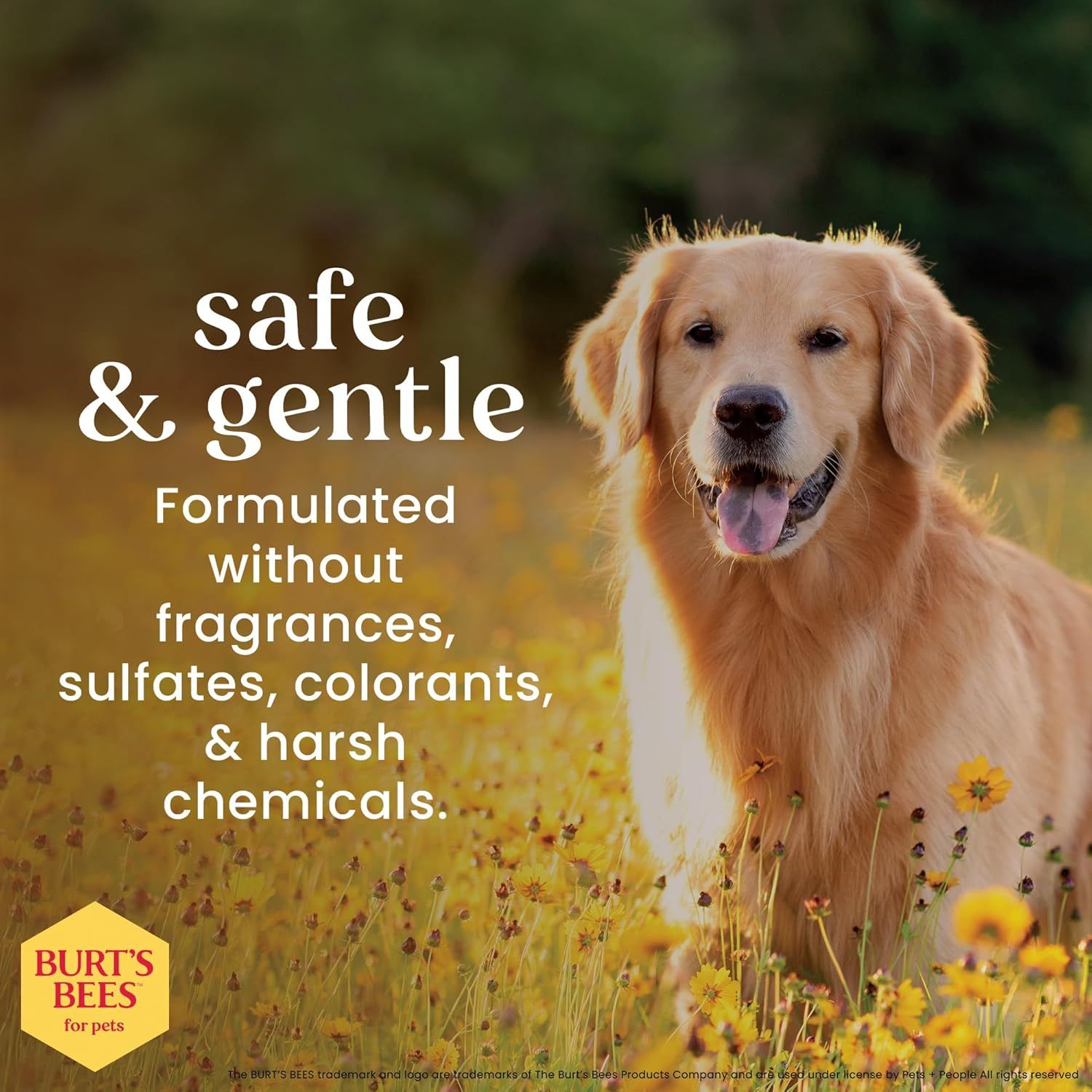 Reassures pet owners that the product is safe and gentle for their pets by highlighting the absence of potentially harmful ingredients like fragrances, sulfates, colorants, and harsh chemicals.…