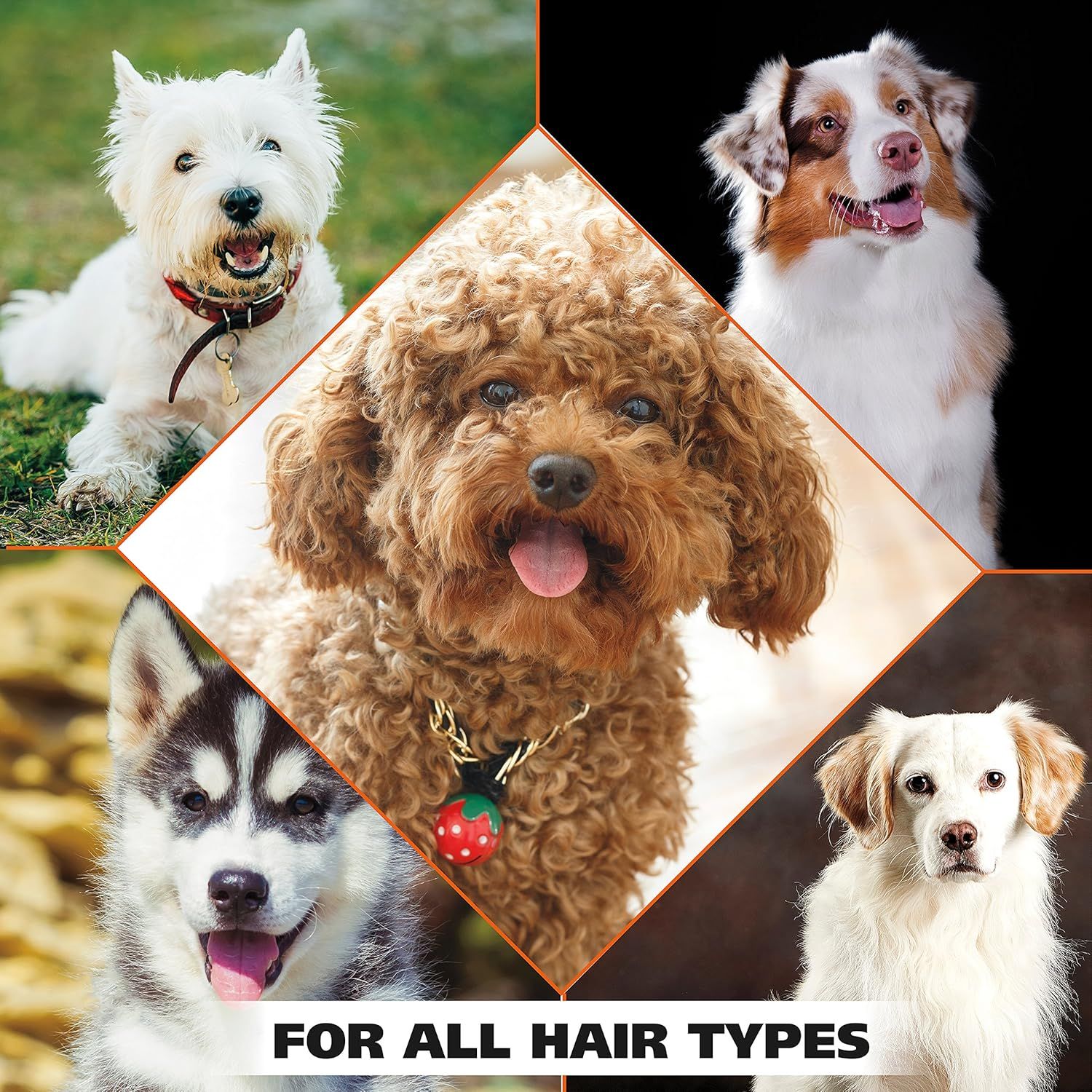 Demonstrates that the product works effectively across multiple dog breeds with different coat types, reassuring shoppers of its versatility and broad applicability.